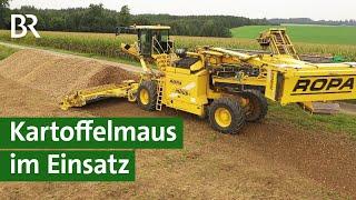 Moderne Landtechnik: Kartoffeln verladen mit der Kartoffelmaus | Unser Land | BR