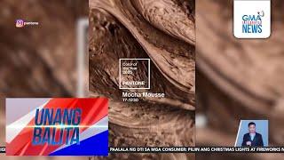 Mocha Mousse, 2025 Pantone Color of the Year | Unang Balita