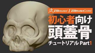 ZBrush / ZBrushCoreを始めてみよう - 頭蓋骨 part1