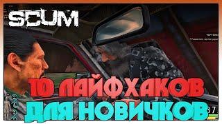 SCUM ► 10 ЛАЙФАКОВ ДЛЯ НОВИЧКОВ