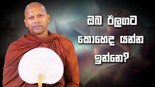 ඔබ ඊලගට කොහෙද යන්න ඉන්නෙ? | Niwathapa Thero | Niwana Soya #bana #buddha #niwanasoya