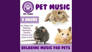 Happy Hamster Music