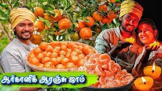 FARM FRESH ORANGE HARVESTING | ஆரஞ்சு தோல் la விளக்கு