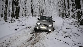 Mitsubishi pajero pinin Snowy forest