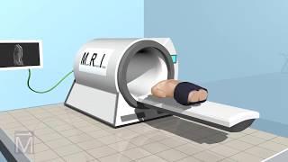 See-Thru Science: How MRI Machines Work