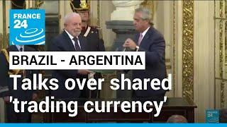 Brazil’s Lula floats shared 'trading currency' during Argentina trip • FRANCE 24 English