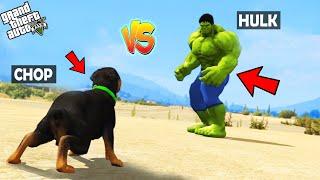 Chop Vs Hulk in GTA 5 | GTA5 AVENGERS