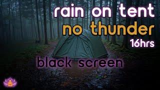 [Black Screen] Rain on Tent No Thunder | Rain Ambience | Rain Sounds for Sleeping