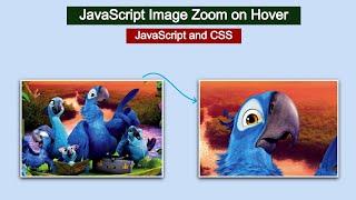 Image Zoom JavaScript | JavaScript Image Zoom on Hover | JavaScript Product Image Zoom