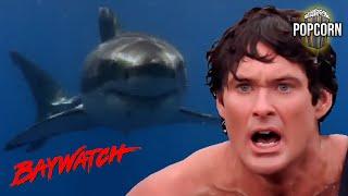 Top 5 Most Viewed Shark Attacks on Baywatch