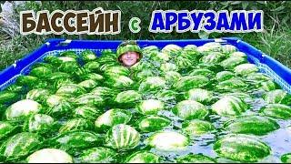 БАССЕЙН С АРБУЗАМИ | НЕ ДОМ - DIY