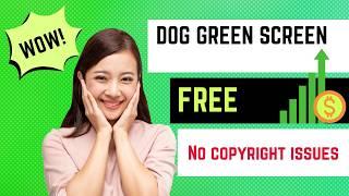 Dog Green screen ,free, no copyright issues,Little Tweety,@Little Tweety-nm6tg,#trending,#shorts,