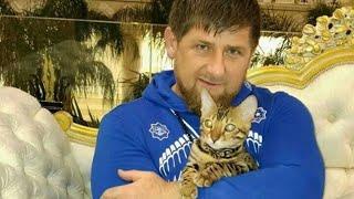 Почему надо брать пример с Рамзана Кадырова и причем тут эвтаназия животных?