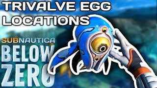 How to find all 6 Trivalve eggs in Subnautica: Below Zero!