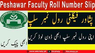 Peshawar Faculty Roll Number Slip 2023 Download Online