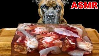 MUKBANG ASMR Dog eating Giant raw meat jelly！Chicken sheep beef 【American Bully】