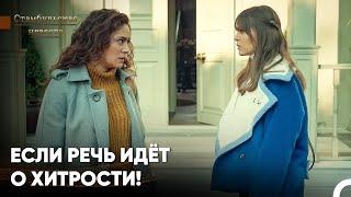 Напряжение Среди Боранов Продолжается  - Стамбульская невеста