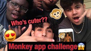 Who’s cuter monkey app challenge