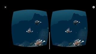 Fish in coral reefs VR box 360