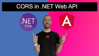 How to setup CORS in .NET Web API