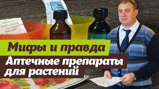 Йод, зеленка и другие препараты для растений  Мнение ученого