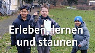 Erleben, lernen und staunen - Die Kasseler Waldschule als besonderer Lernort