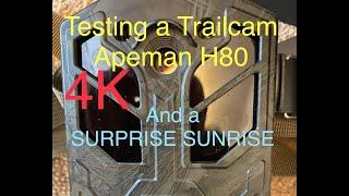 A Sunrise Surprise and a Trailcam review - The Apeman H80