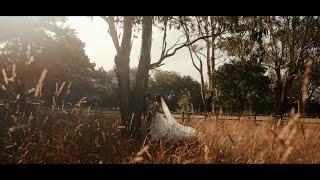 Mel & Leroy | Wedding Highlights