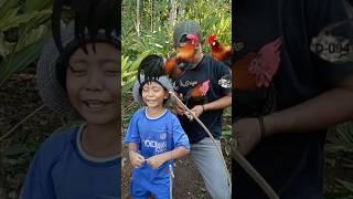 Dapat ayam hutan bikin sibocil senang#diy #craft #video #viral #trending #shorts