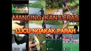 MANCING IKAN LEPAS LUCU ||SAKIT TAPI TAK BERDARAH