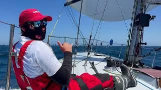 2024 Rolex Sydney Hobart | From the rail - Bacardi - 26 December