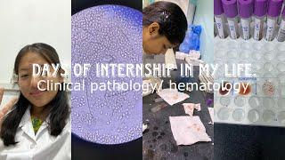 Days of internship in Bangalore hospital lab / clinical pathology / hematology / blood test .