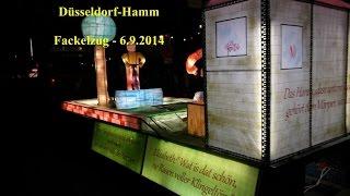 Schützenfest Düsseldorf Hamm 20140906 Fackelzug