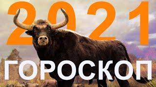 Гороскоп на 2021 год для всех знаков Зодиака / Что принесёт ГОД БЫКА?