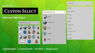 Custom Select | Advanced Select Inputs for Forms | Codecanyon Scripts and Snippets