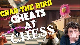 Chad the Bird Cheats at Chess [FULL] 09/07/24