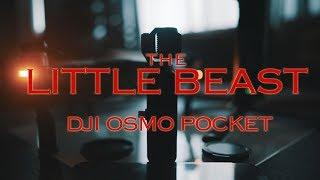 THE LITTLE BEAST - DJI OSMO POCKET