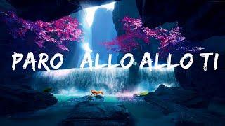 Nej - Paro | allo allo tik tok song |1HOUR LYRICS