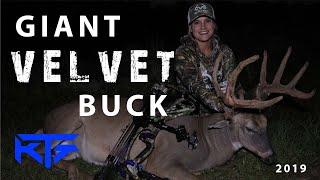 Giant Kentucky Velvet Buck - Episode 6 KTG