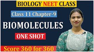 Biomolecules Class 11 Biology One shot for NEET 2025