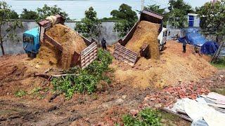 Perfect New Project! Skillful Driver Recovery Dump Truck Stuck When Uploading Soil & Mini Bulldozer.