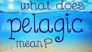 What does pelagic mean?