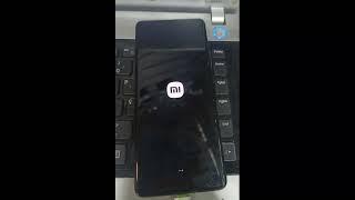 Unbrick Xiaomi 12X  (psyche) system destroyed softbrick autoport edl solved fix