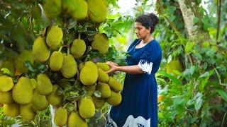 The biggest young jackfruit harvest.prepared simple traditional meal|village kitchen srilanka