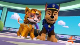 Paw patrol Cat pack heroes of the bay!!