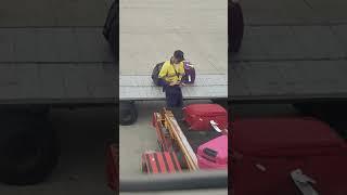 How airport baggage handlers handle your baggage