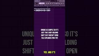 How to Chop Samples in FL Studio Part 1 (Sampling Tips)
