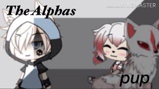 The Alphas Pup ~ Episode 1 Season 1 ~ Remake ~ Original series U-U