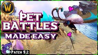How I Make Pet Battles Easy! 