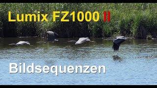 Anleitung Bildsequenzen Lumix FZ1000 II / Sequence Composition Howto